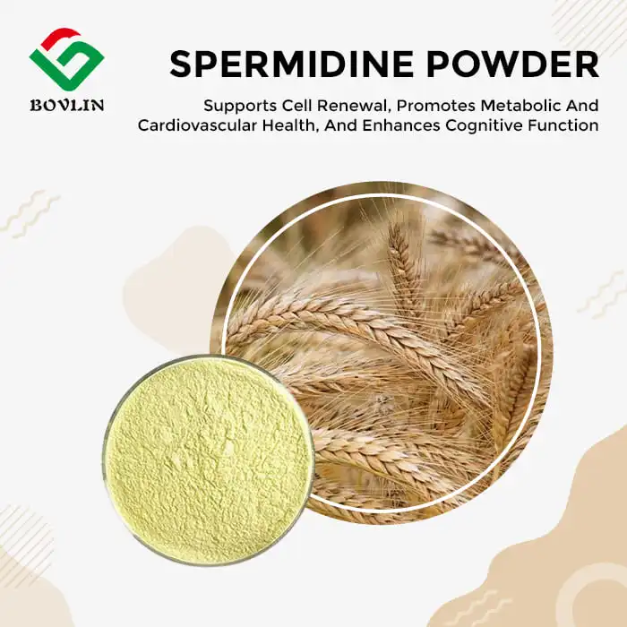 Spermidine Powder